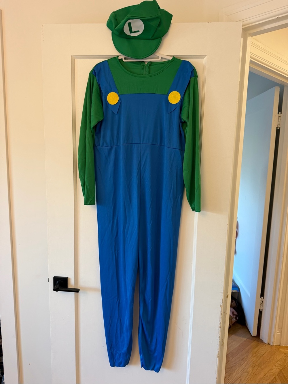 Adult Green & Blue Kids Luigi Costume with Hat size S